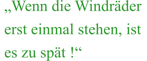 „Wenn die Windräder erst einmal stehen, ist es zu spät !“