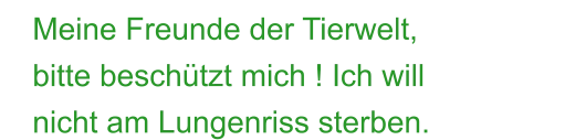 Meine Freunde der Tierwelt,  bitte beschützt mich ! Ich will nicht am Lungenriss sterben.