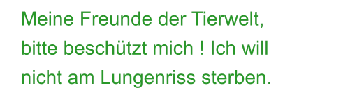 Meine Freunde der Tierwelt,  bitte beschützt mich ! Ich will nicht am Lungenriss sterben.